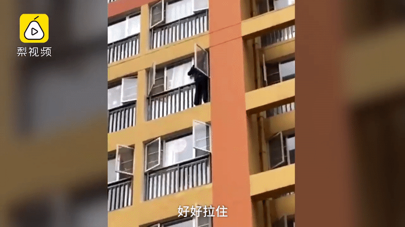 Cụ ông 60 tuổi tay không leo 9 tầng lầu bất chấp sự ngăn cản, nguyên nhân đằng sau khiến nhiều người cảm động nhưng chỉ trích không ít-2