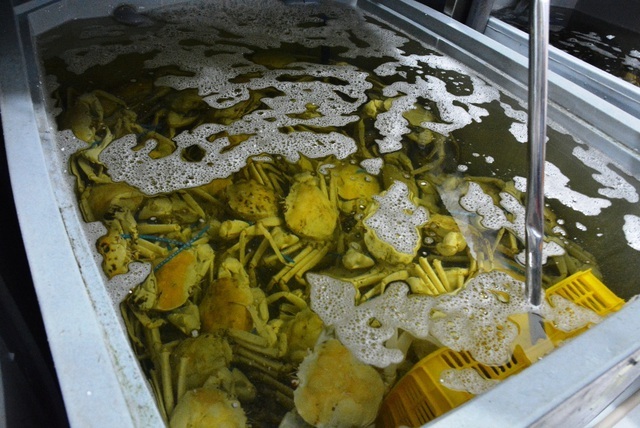 Cua pha lê hơn 4 triệu đồng/con, người Việt vẫn giành nhau mua-2