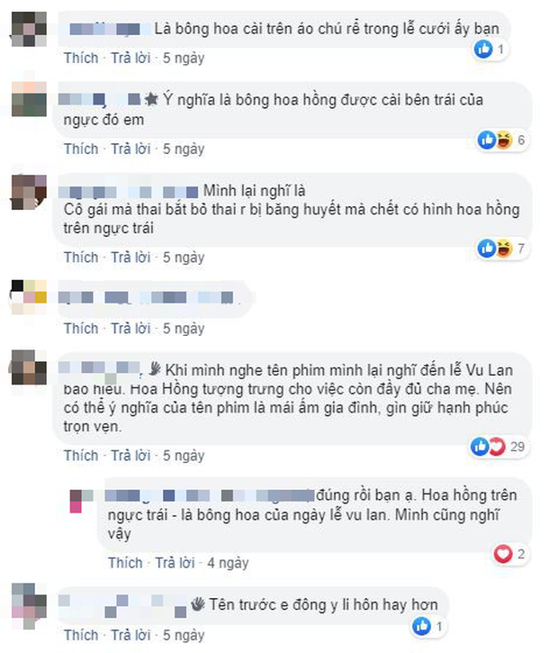 Thì ra đây mới là dụng ý thật sự khi NSX đổi tên phim từ Em Đồng Ý Ly Hôn thành Hoa Hồng Trên Ngực Trái-2