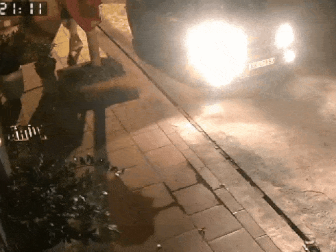 Clip: Đi ô tô bưng trộm chậu hoa sứ giữa đêm, người đàn ông bị chủ nhà 
