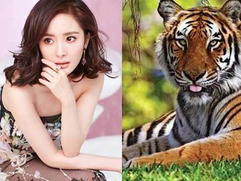 Nữ nhân sinh vào 3 năm này, 2019 được sao cát tinh chiếu mệnh, những tháng cuối năm có quý nhân phù trợ, hóa hung thành cát-4