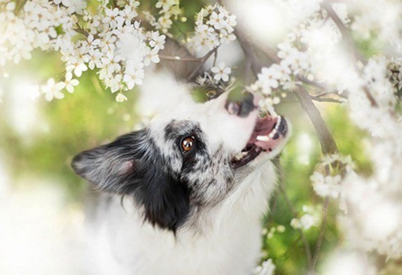 Tài vận 12 con giáp trong tháng 10: 4 con giáp cực may mắn, 5 con giáp cần chú ý tiền nong-11