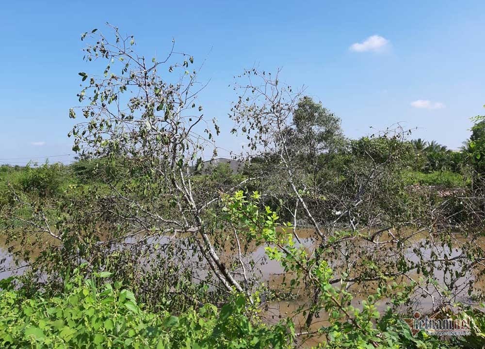 Thêm nhiều tình tiết vụ Mercedes dưới kênh 3 người chết ở Tiền Giang-3