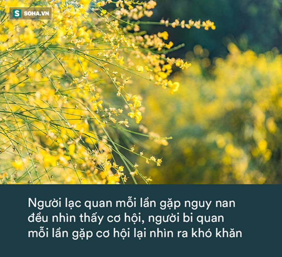 Đưa con vào nhà xe đầy phân ngựa, lúc quay lại, ông bố kinh ngạc khi nghe những gì con nói-1