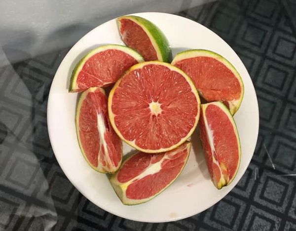 Trồng cây khác người, anh nông dân Bắc Giang thu về trăm triệu đồng-3