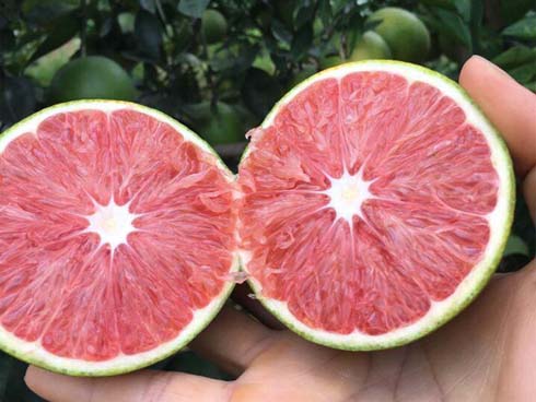 Chân dung vợ xinh đẹp của Shark Hưng: Là á hậu, kém 16 tuổi, giỏi nhiều ngoại ngữ-11