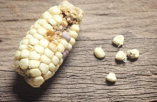 2 vợ chồng liên tiếp mắc ung thư gan không rõ lý do, thủ phạm đã ở trong nhà bếp suốt 10 năm mà không biết-4