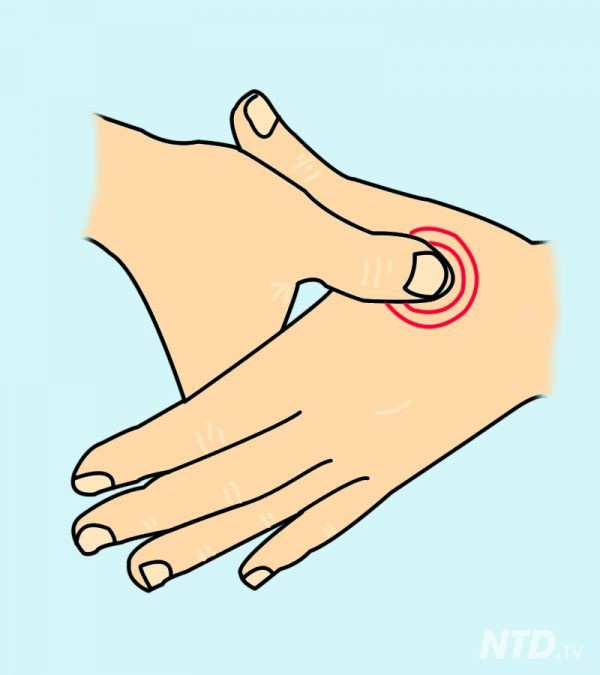 Chỉ cần ấn vào điểm này trên tay 1 phút, bạn sẽ cảm nhận rất nhiều điều kỳ diệu xảy ra với cơ thể-2