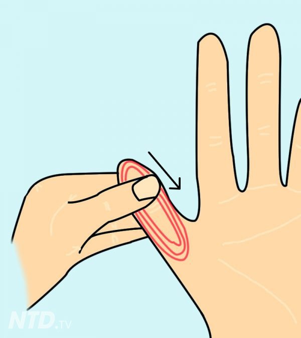 Chỉ cần ấn vào điểm này trên tay 1 phút, bạn sẽ cảm nhận rất nhiều điều kỳ diệu xảy ra với cơ thể-3