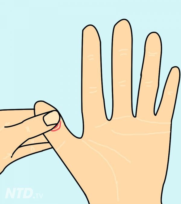 Chỉ cần ấn vào điểm này trên tay 1 phút, bạn sẽ cảm nhận rất nhiều điều kỳ diệu xảy ra với cơ thể-5