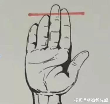 Ai sở hữu tướng tay này, bất kể đàn ông hay phụ nữ đều một đời hưởng vinh hoa phú quý, đại phúc đại quý-2