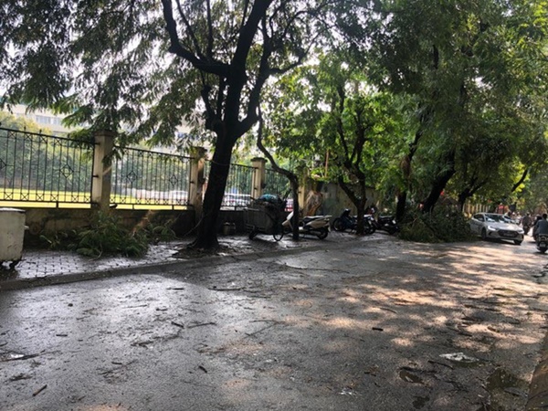 Hà Nội: Trời đổ mưa giông bất ngờ khiến cây cối ngã nằm la liệt trên đường sau buổi sáng nắng gay gắt-5