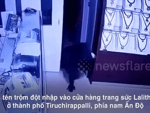 Trộm đeo mặt nạ thú qua mặt 6 bảo vệ lấy đi 30kg trang sức