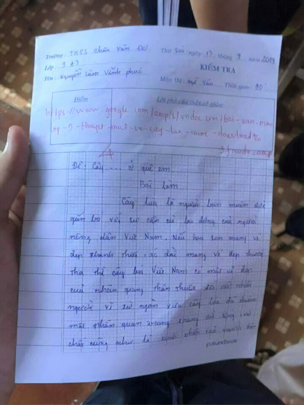 Kiểm tra nhưng chép văn mẫu trên mạng, cô giáo chỉ phê một câu này đã khiến trò xanh mặt không dám tái phạm-1