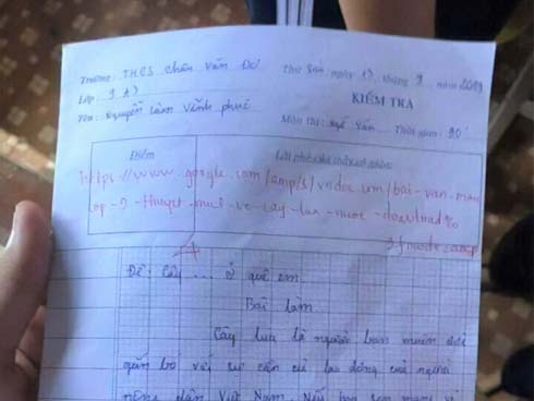 Nữ sinh âm thầm lên mạng đạo văn mẫu, tưởng được điểm cao ngất ngưởng ai ngờ cười chảy nước mắt với cái kết-2