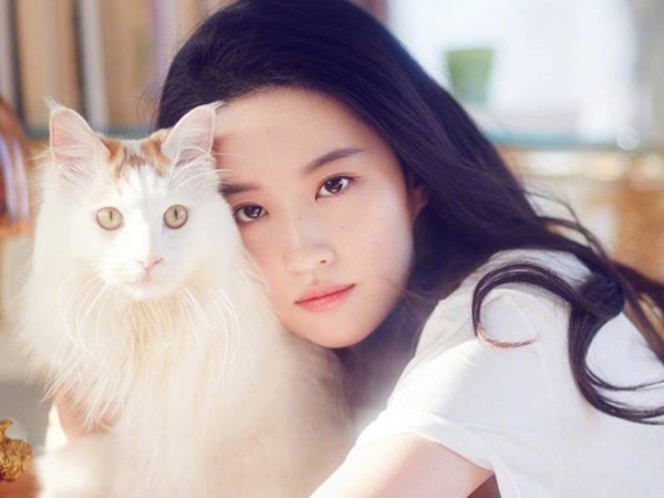 Tuần mới (7/10 - 13/10) của 12 cung Hoàng đạo: Xử Nữ tình duyên đẹp như mơ, Song Tử lấy lại phong độ-1