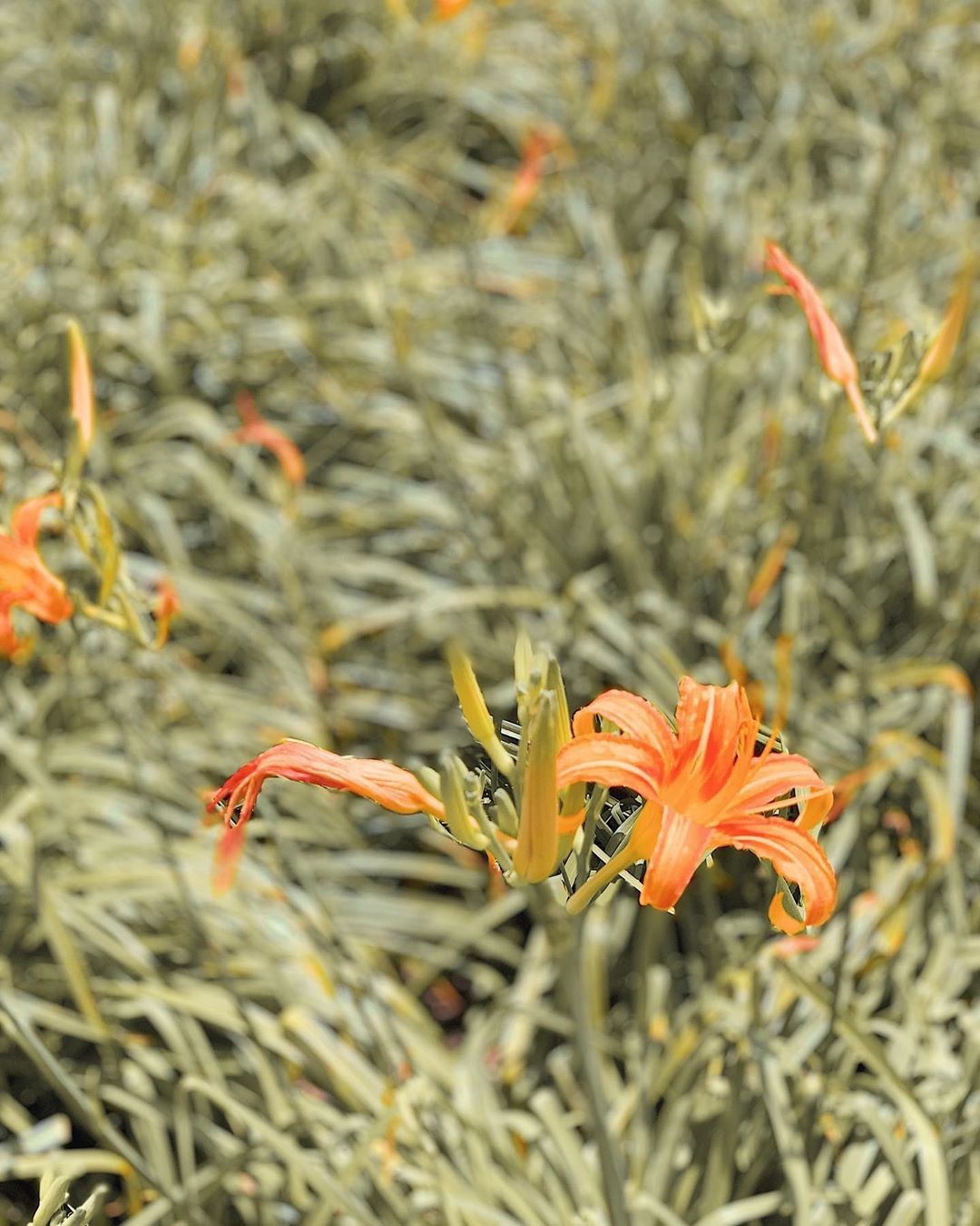 Quang Vinh bao năm bị đồn là thiếu gia Nguyễn Kim: Bỏ hào quang sân khấu để theo đuổi đam mê du lịch với những bức ảnh chất hơn nước cất-28