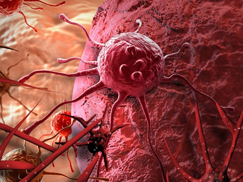 4 việc cần làm sau bữa ăn giúp bạn cả đời sống khỏe, trường thọ-8