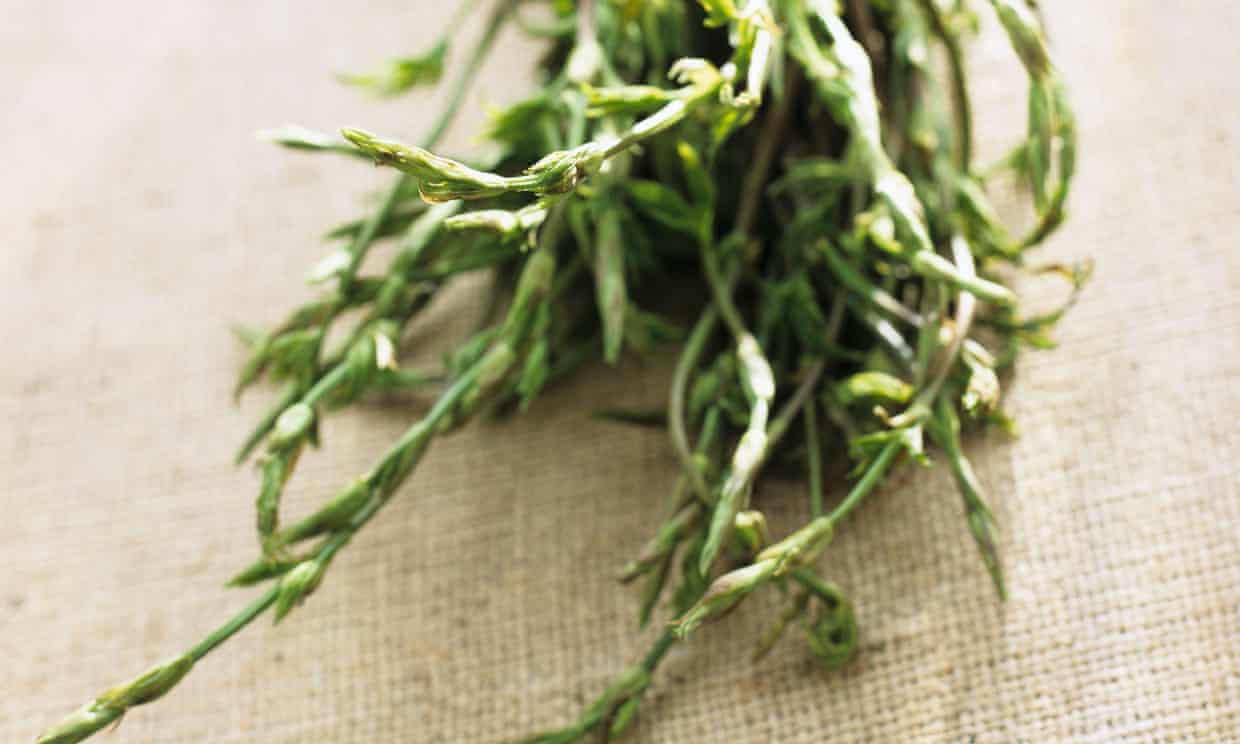 Loại rau 4 mùa mới có 1 lần, đắt hơn vàng khách vẫn ùn ùn xếp hàng đợi được ăn-1