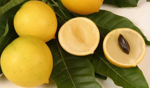 Choáng: Vú sữa hoàng kim Đài Loan giá 700.000 đồng/kg vẫn bán chạy-2