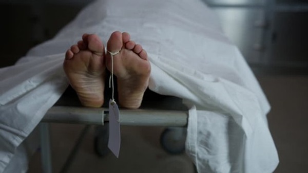 Tới đòi nhà cho thuê để bán, người chủ khiếp vía khi thấy cảnh tượng trong nhà tắm-2