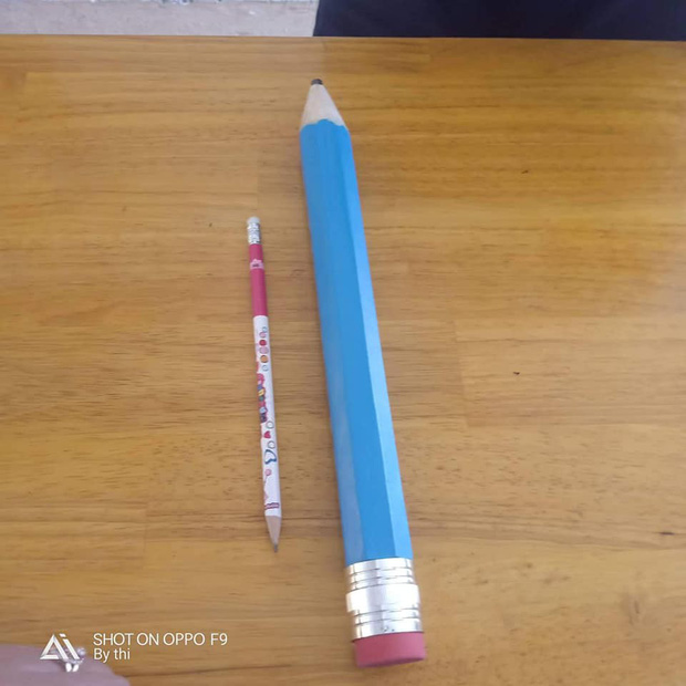 Nữ sinh quyết định mua hẳn ngòi bút siêu to khổng lồ, vừa dùng được cả năm lại tránh được lũ hay mượn đồ-2