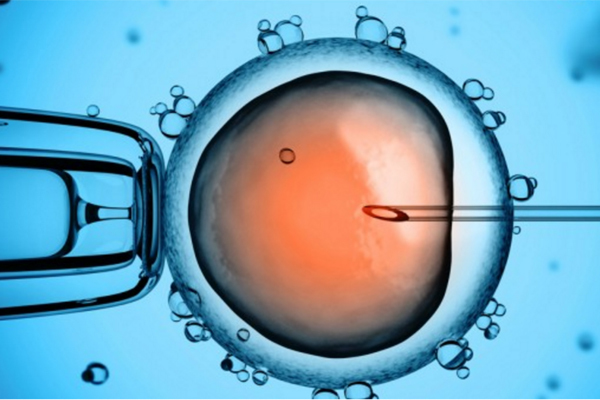 Chồng bày mưu lấy cắp phôi của vợ tại bệnh viện Bưu Điện giúp bồ mang thai-1