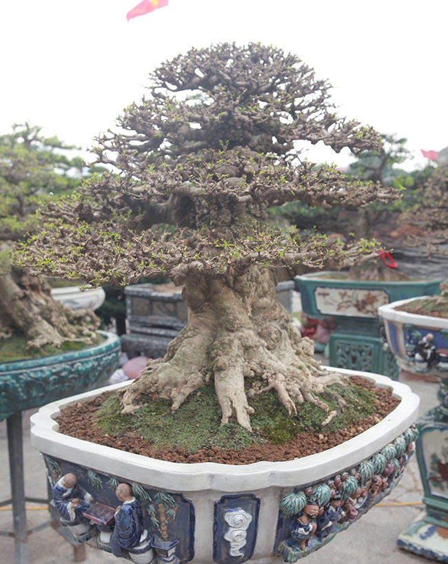 Choáng ngợp bộ 3 mai chiếu thủy giá 5 tỷ lần đầu xuất hiện-13