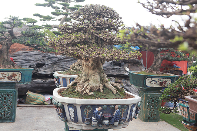 Choáng ngợp bộ 3 mai chiếu thủy giá 5 tỷ lần đầu xuất hiện-11