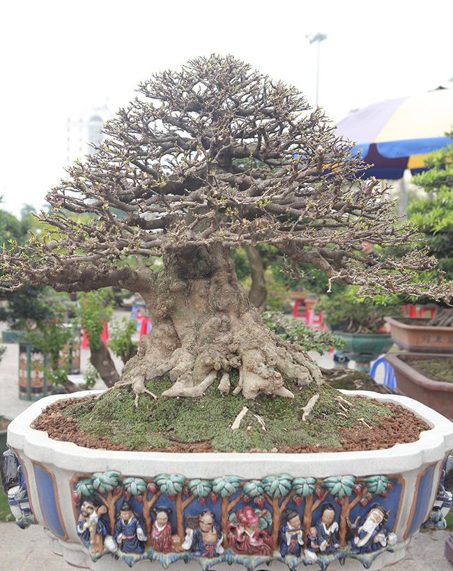 Choáng ngợp bộ 3 mai chiếu thủy giá 5 tỷ lần đầu xuất hiện-14