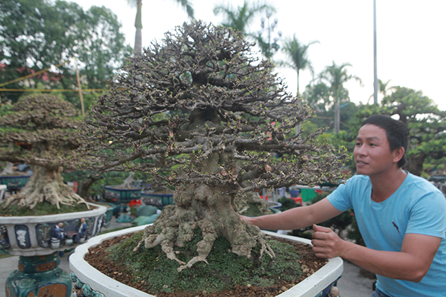 Choáng ngợp bộ 3 mai chiếu thủy giá 5 tỷ lần đầu xuất hiện-2