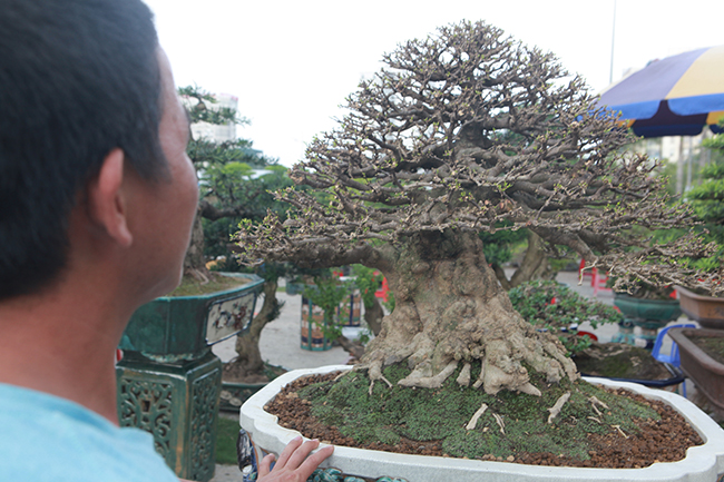 Choáng ngợp bộ 3 mai chiếu thủy giá 5 tỷ lần đầu xuất hiện-3