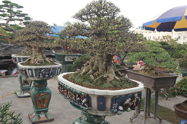 Choáng ngợp bộ 3 mai chiếu thủy giá 5 tỷ lần đầu xuất hiện-4