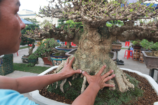 Choáng ngợp bộ 3 mai chiếu thủy giá 5 tỷ lần đầu xuất hiện-6