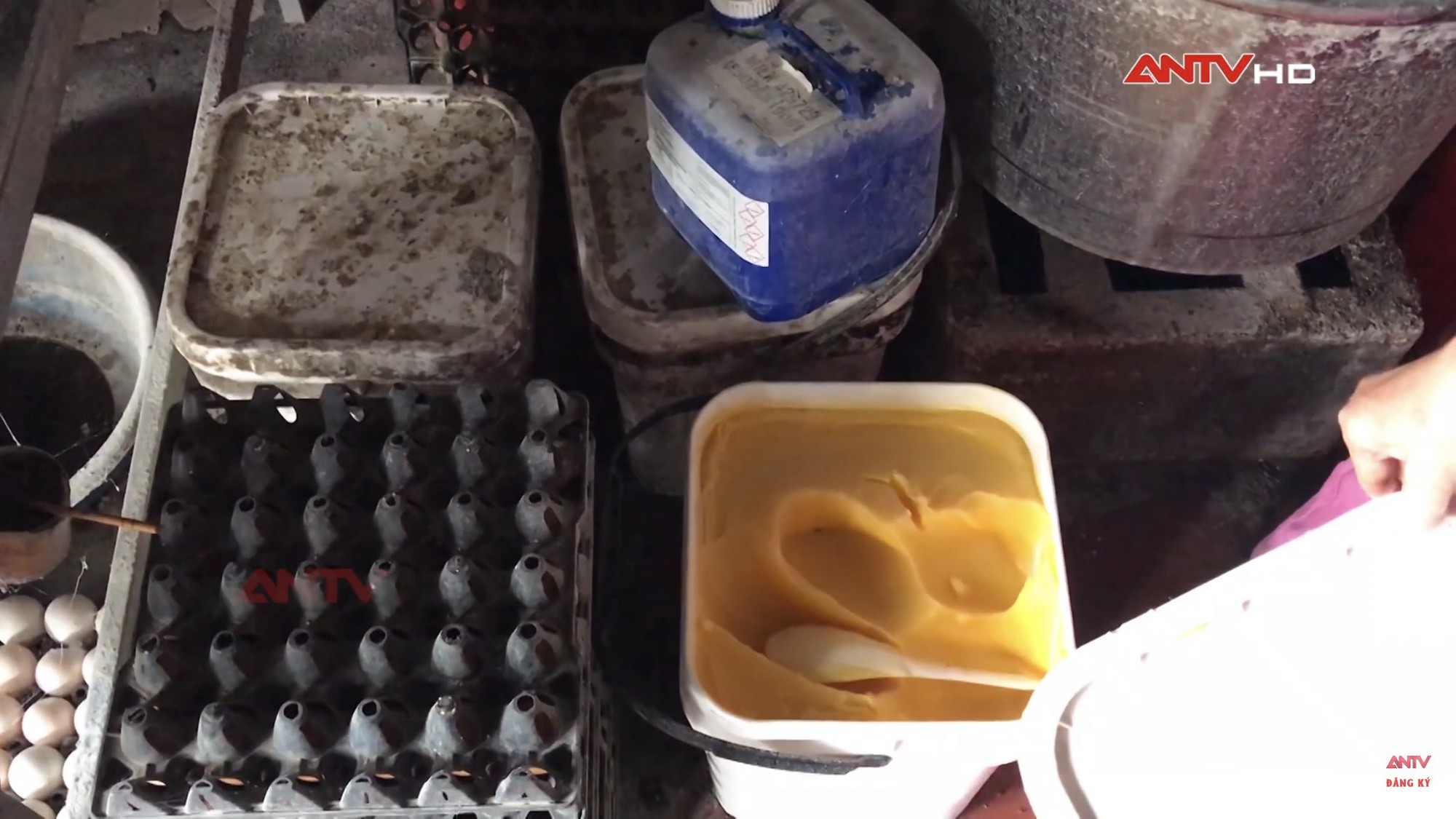 Chuyên gia rùng mình với loại bánh mì nóng giòn được tẩm hóa chất lạ” để nở to, chín nhanh hơn: Ăn nhiều cẩn thận biến đổi gen, mắc ung thư-5