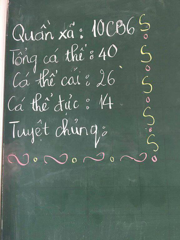 Những khung báo sĩ số lớp học nhìn vào chỉ muốn truyền thái y” ngay vì concept sáng tạo đến kinh ngạc!-4