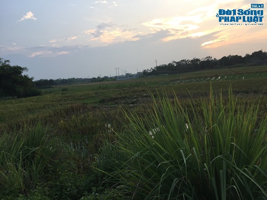 Đột nhập trang trại 300 tỷ của sư thầy Thích Thanh Toàn dưới chân núi Tam Đảo-2