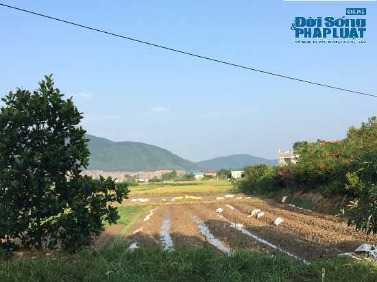 Đột nhập trang trại 300 tỷ của sư thầy Thích Thanh Toàn dưới chân núi Tam Đảo-4