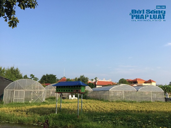 Đột nhập trang trại 300 tỷ của sư thầy Thích Thanh Toàn dưới chân núi Tam Đảo-8