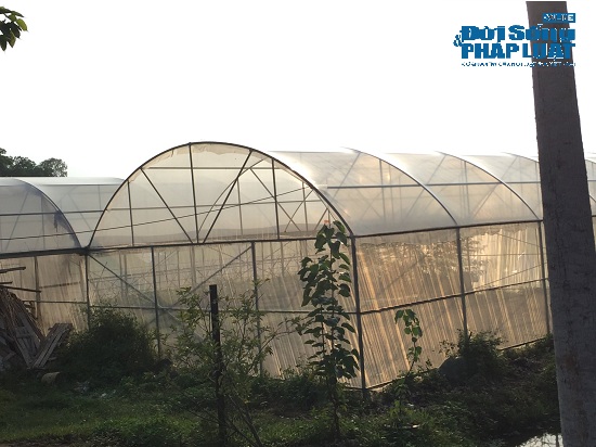 Đột nhập trang trại 300 tỷ của sư thầy Thích Thanh Toàn dưới chân núi Tam Đảo-9