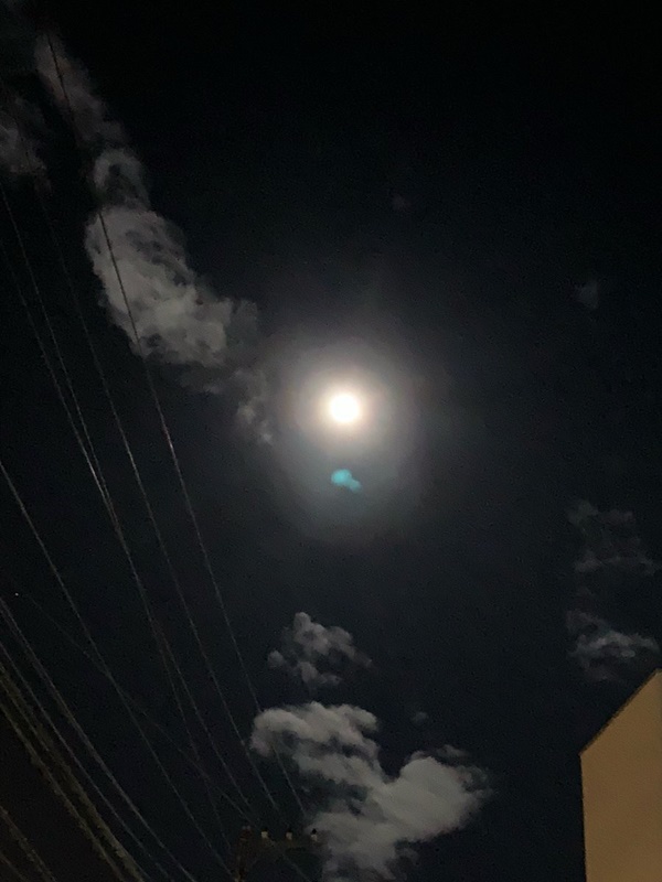 Trái ngược với bầu trời tím dự báo điềm dữ trước khi Hagibis đổ bộ, dân Nhật hứng khởi với cảnh quang đãng, trăng sáng rực lúc siêu bão đi qua-9