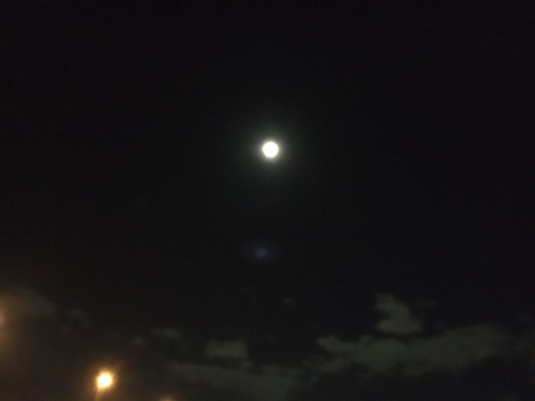 Trái ngược với bầu trời tím dự báo điềm dữ trước khi Hagibis đổ bộ, dân Nhật hứng khởi với cảnh quang đãng, trăng sáng rực lúc siêu bão đi qua-10