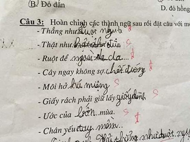 Siêu phẩm sáng tạo khi học sinh cấp 1 điền thành ngữ khiến cô giáo đứng hình-1