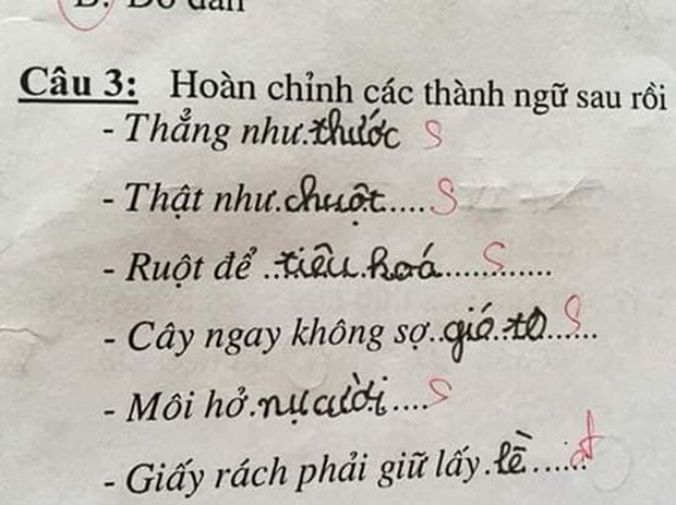 Siêu phẩm sáng tạo khi học sinh cấp 1 điền thành ngữ khiến cô giáo đứng hình-2