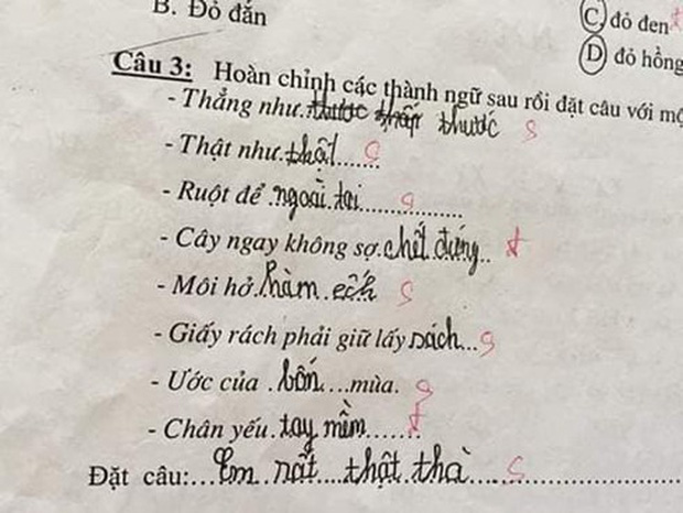 Siêu phẩm sáng tạo khi học sinh cấp 1 điền thành ngữ khiến cô giáo đứng hình-4