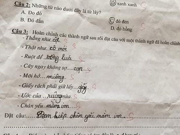 Siêu phẩm sáng tạo khi học sinh cấp 1 điền thành ngữ khiến cô giáo đứng hình-9