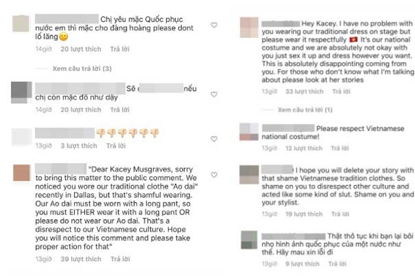 Cộng đồng mạng Việt Nam tổng tấn công trang cá nhân nữ ca sĩ mặc áo dài không quần, gay gắt yêu cầu xin lỗi-4