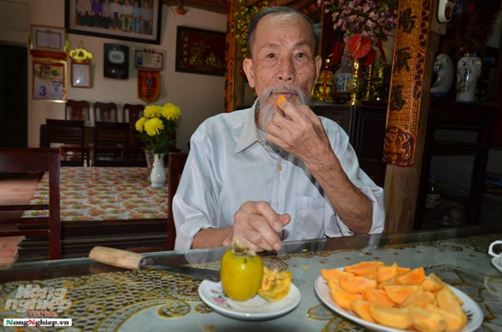 Chuyện thú vị quanh những cây hồng tiến vua sắp tuyệt chủng ở Phú Thọ-1