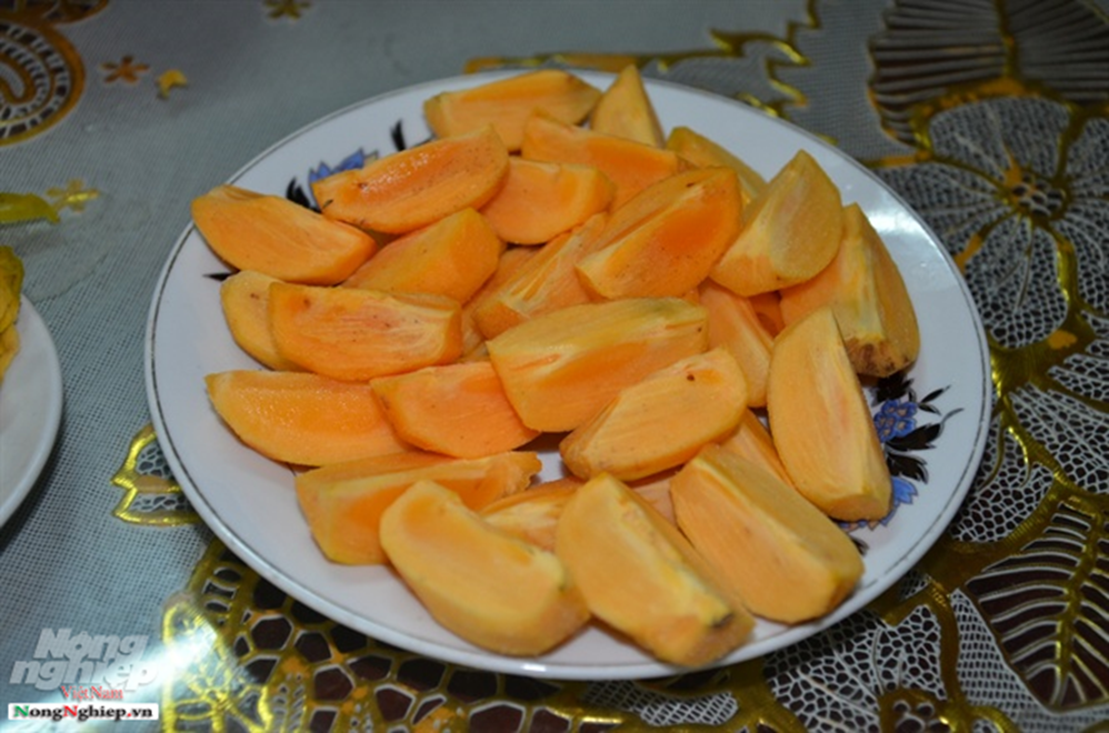 Chuyện thú vị quanh những cây hồng tiến vua sắp tuyệt chủng ở Phú Thọ-2