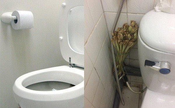 Bỏ 5 nghìn mua sả đặt đúng chỗ này, cả tuần không dọn nhà vệ sinh vẫn thơm ngát-1